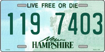 NH license plate 1197403