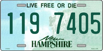 NH license plate 1197405