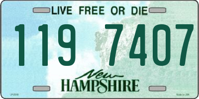 NH license plate 1197407