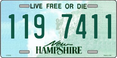 NH license plate 1197411