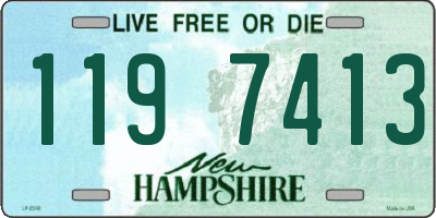 NH license plate 1197413