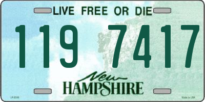 NH license plate 1197417