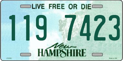 NH license plate 1197423