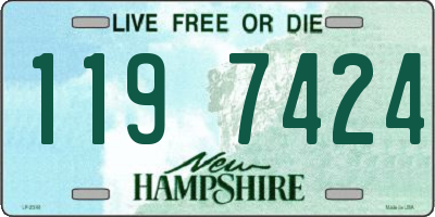 NH license plate 1197424