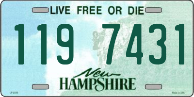 NH license plate 1197431