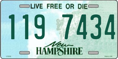 NH license plate 1197434