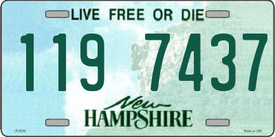 NH license plate 1197437
