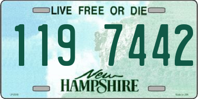 NH license plate 1197442