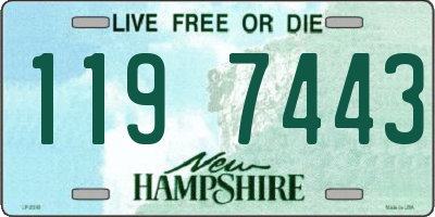 NH license plate 1197443