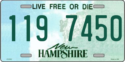 NH license plate 1197450