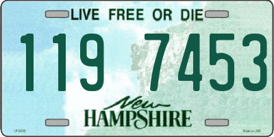 NH license plate 1197453