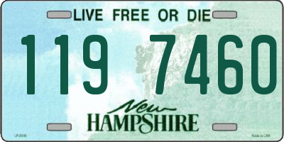 NH license plate 1197460