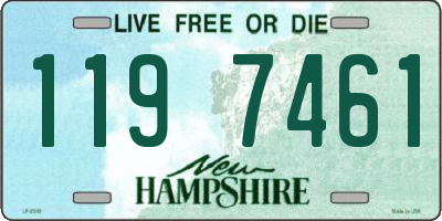 NH license plate 1197461
