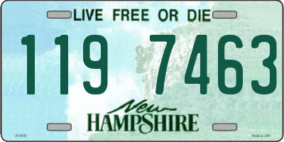 NH license plate 1197463