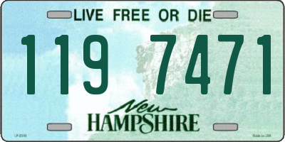 NH license plate 1197471