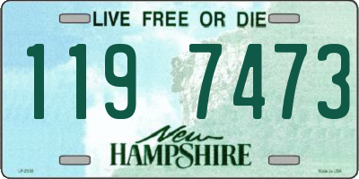 NH license plate 1197473