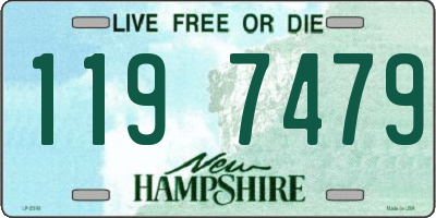 NH license plate 1197479