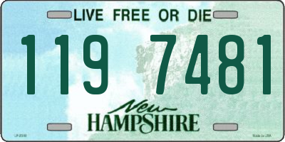 NH license plate 1197481