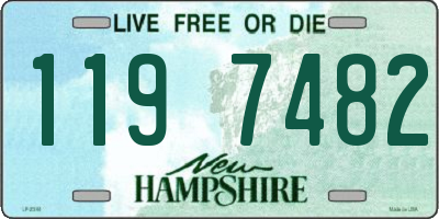 NH license plate 1197482