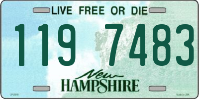 NH license plate 1197483