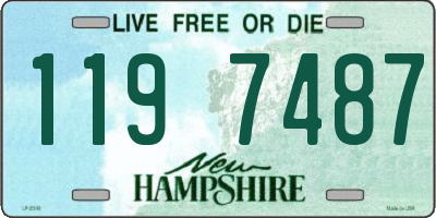 NH license plate 1197487