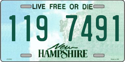 NH license plate 1197491