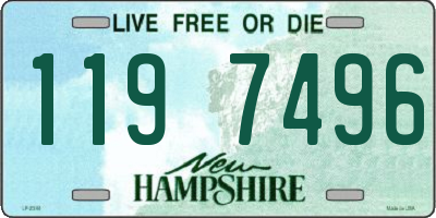 NH license plate 1197496