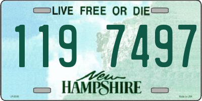 NH license plate 1197497