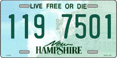 NH license plate 1197501