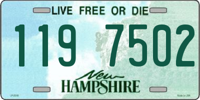 NH license plate 1197502