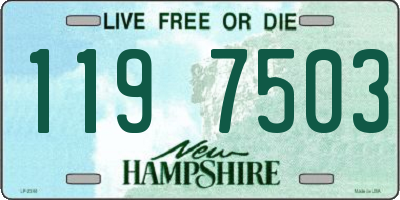 NH license plate 1197503