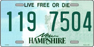 NH license plate 1197504