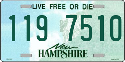 NH license plate 1197510