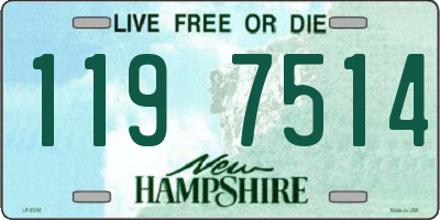 NH license plate 1197514