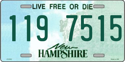 NH license plate 1197515