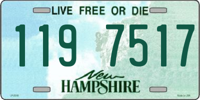 NH license plate 1197517