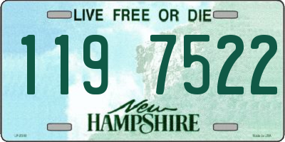 NH license plate 1197522