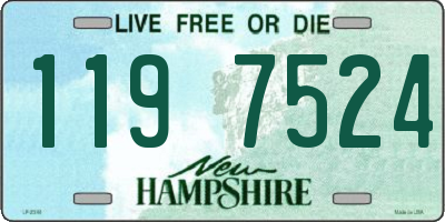 NH license plate 1197524