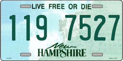 NH license plate 1197527