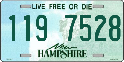 NH license plate 1197528