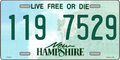 NH license plate 1197529