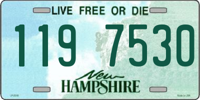 NH license plate 1197530