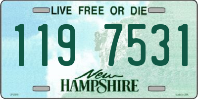 NH license plate 1197531