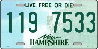 NH license plate 1197533