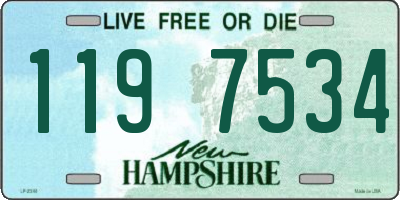 NH license plate 1197534