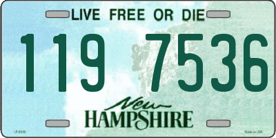 NH license plate 1197536
