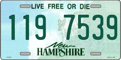 NH license plate 1197539