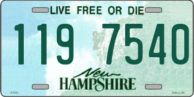 NH license plate 1197540