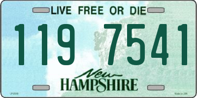 NH license plate 1197541