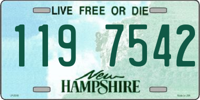 NH license plate 1197542
